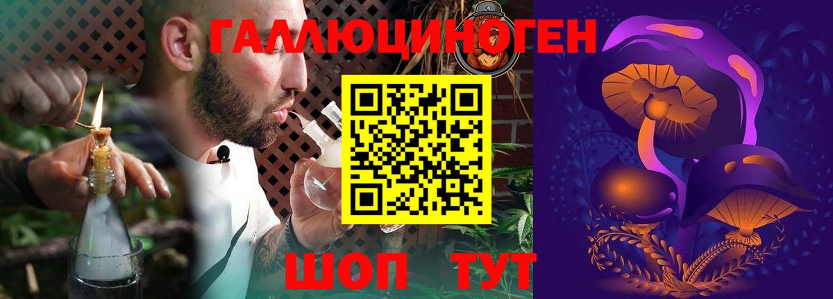 Сорочинск  Псилоцибиновые грибы Psilocybe  Вход с VPN 